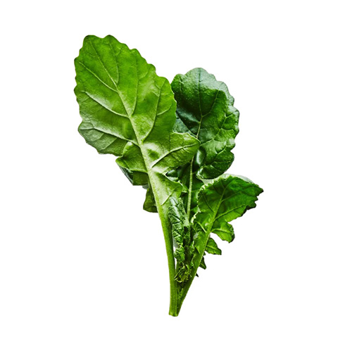 Wasabi Arugula