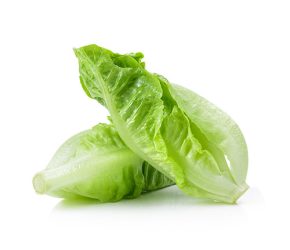 Romaine Lettuce